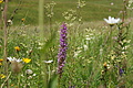 DSC07815 - Bernhard Saalfeld