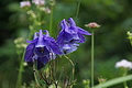 DSC07818 - Bernhard Saalfeld