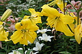 DSC07866 - Bernhard Saalfeld