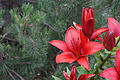 DSC07867 - Bernhard Saalfeld