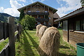 DSC07872 - Bernhard Saalfeld