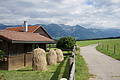 DSC07873 - Bernhard Saalfeld