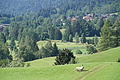 DSC07882 - Bernhard Saalfeld