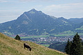DSC07907 - Bernhard Saalfeld