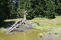 DSC07915 - Bernhard Saalfeld
