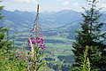 DSC07917 - Bernhard Saalfeld