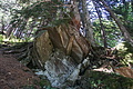 DSC07918 - Bernhard Saalfeld