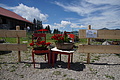 DSC07921 - Bernhard Saalfeld