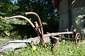 DSC07952 - Bernhard Saalfeld