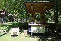 DSC07953 - Bernhard Saalfeld