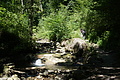 DSC07968 - Bernhard Saalfeld