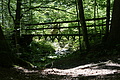 DSC07975 - Bernhard Saalfeld