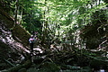 DSC07976 - Bernhard Saalfeld