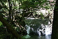 DSC07977 - Bernhard Saalfeld