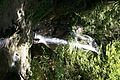 DSC07979 - Bernhard Saalfeld