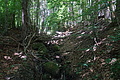 DSC07995 - Bernhard Saalfeld