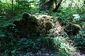 DSC07996 - Bernhard Saalfeld