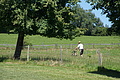DSC08001 - Bernhard Saalfeld