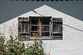 DSC08002 - Bernhard Saalfeld