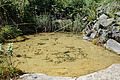 DSC08016 - Bernhard Saalfeld