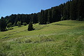 DSC08017 - Bernhard Saalfeld