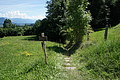 DSC08024 - Bernhard Saalfeld