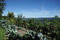 DSC08026 - Bernhard Saalfeld