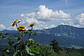 DSC08027 - Bernhard Saalfeld