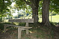 DSC08029 - Bernhard Saalfeld