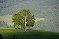 DSC08038 - Bernhard Saalfeld