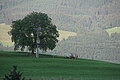 DSC08041 - Bernhard Saalfeld