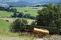 DSC08066 - Bernhard Saalfeld