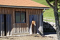 DSC08067 - Bernhard Saalfeld