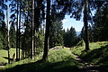 DSC08070 - Bernhard Saalfeld