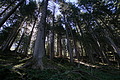 DSC08075 - Bernhard Saalfeld