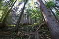 DSC08076 - Bernhard Saalfeld
