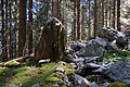 DSC08077 - Bernhard Saalfeld