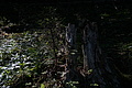 DSC08079 - Bernhard Saalfeld