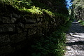 DSC08082 - Bernhard Saalfeld