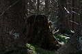 DSC08083 - Bernhard Saalfeld