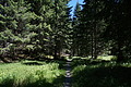 DSC08084 - Bernhard Saalfeld