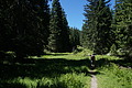 DSC08086 - Bernhard Saalfeld