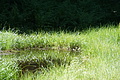 DSC08087 - Bernhard Saalfeld