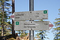 DSC08089 - Bernhard Saalfeld