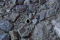 DSC08093 - Bernhard Saalfeld