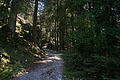 DSC08095 - Bernhard Saalfeld