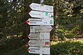DSC08097 - Bernhard Saalfeld