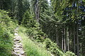 DSC08098 - Bernhard Saalfeld