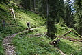 DSC08099 - Bernhard Saalfeld