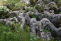 DSC08104 - Bernhard Saalfeld